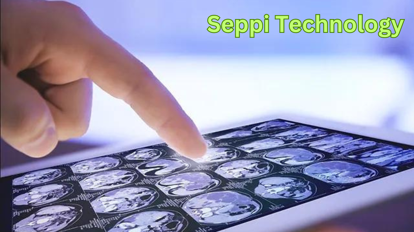 Seppi Technology Associates