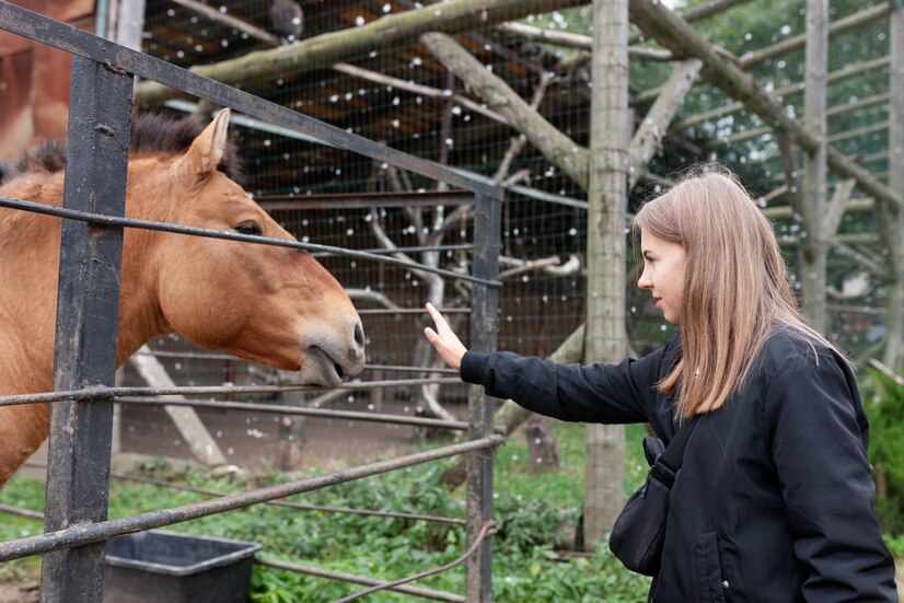 How Long Do Horses Live