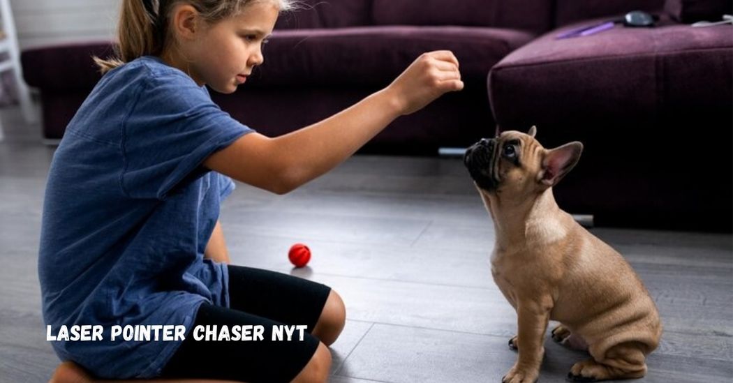 laser pointer chaser nyt