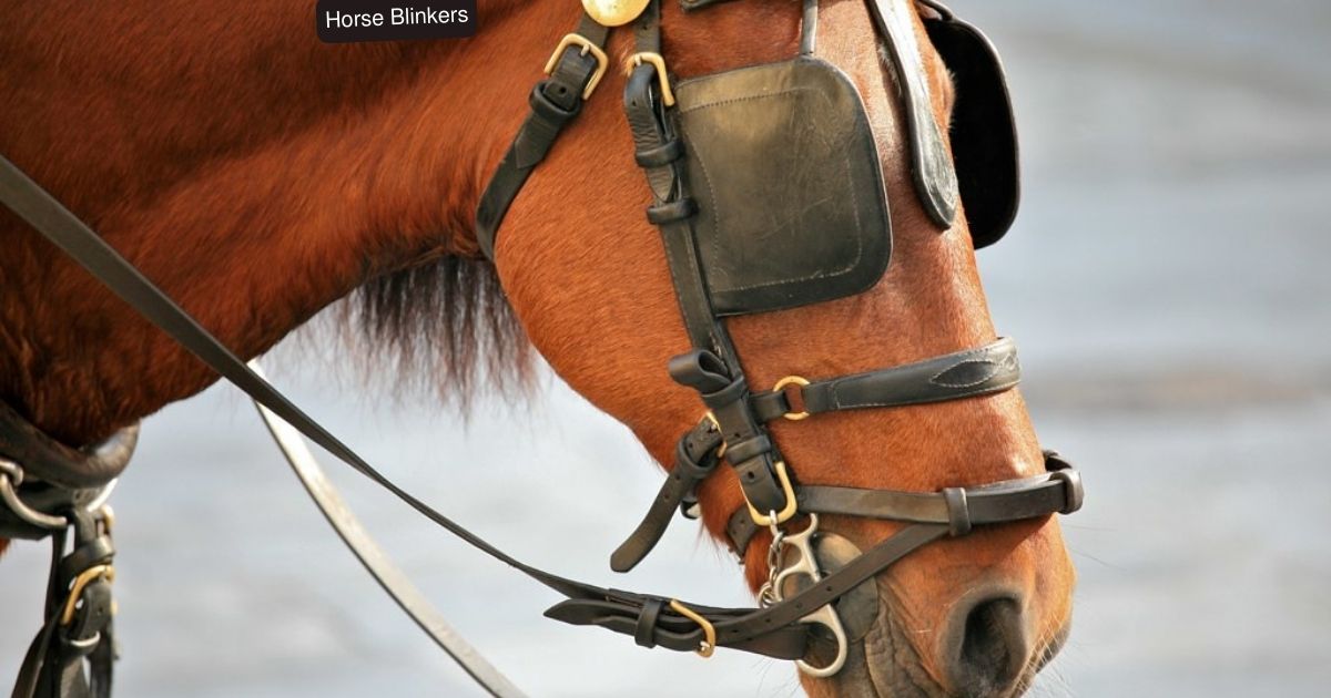 Horse Blinkers