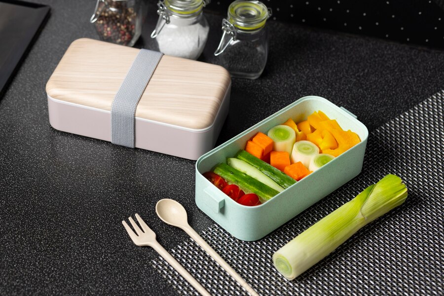 Stainless Steel Bento Boxes