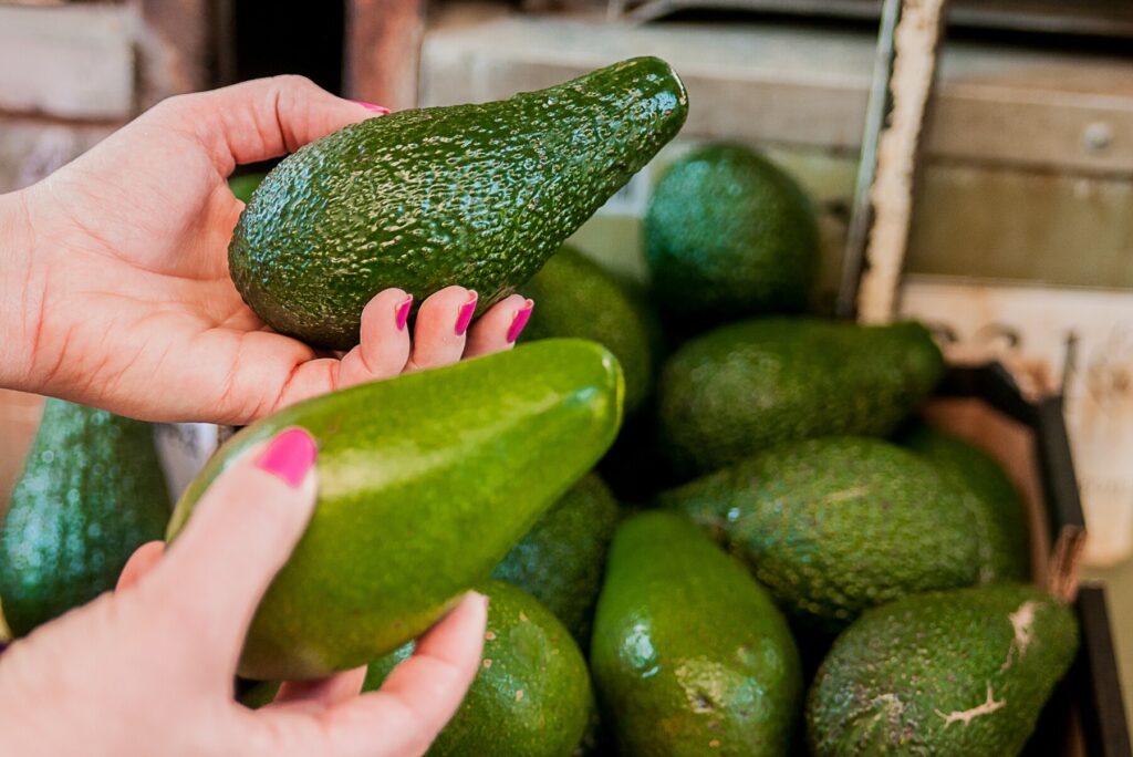 Avocado Price in India