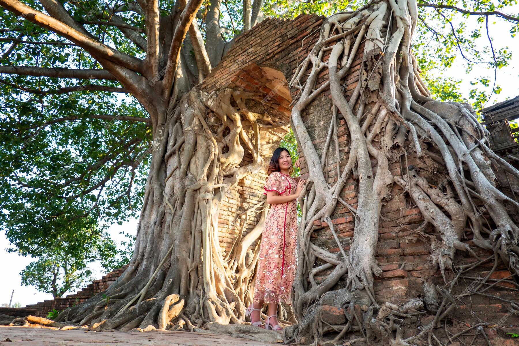 Banyan Tree Ritual